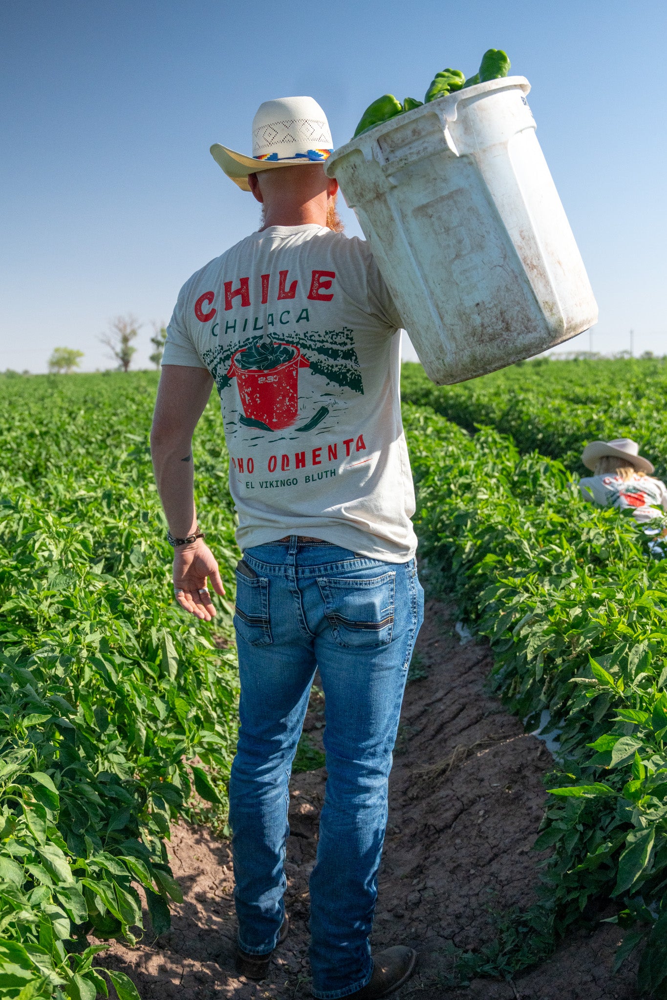 Chile Chilaca Ocho Ochenta