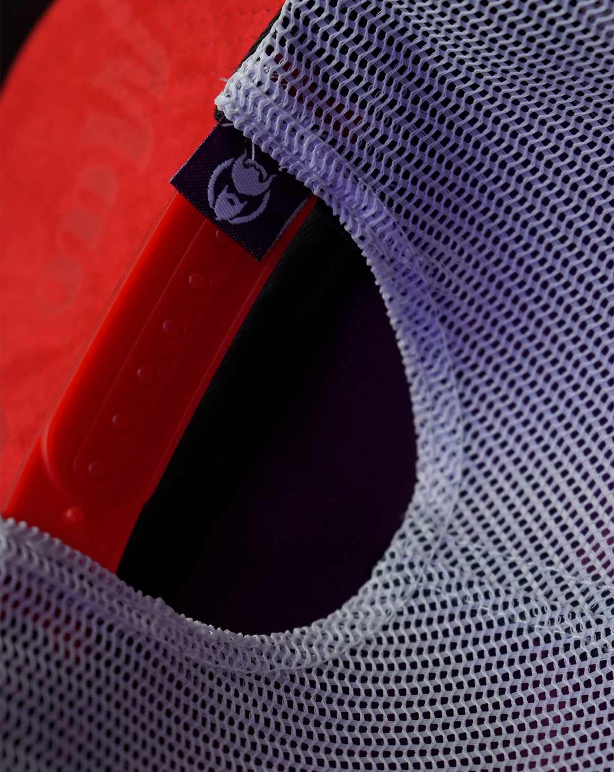 RLA Double Feathers Cap