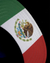 Logo Midnight Camo Snapback w/Mexican Flag